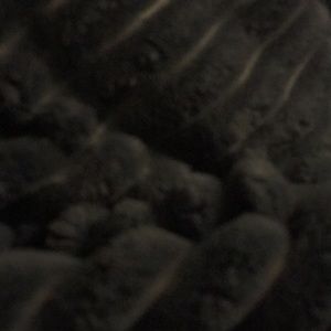 Meet your Posher, Sofia